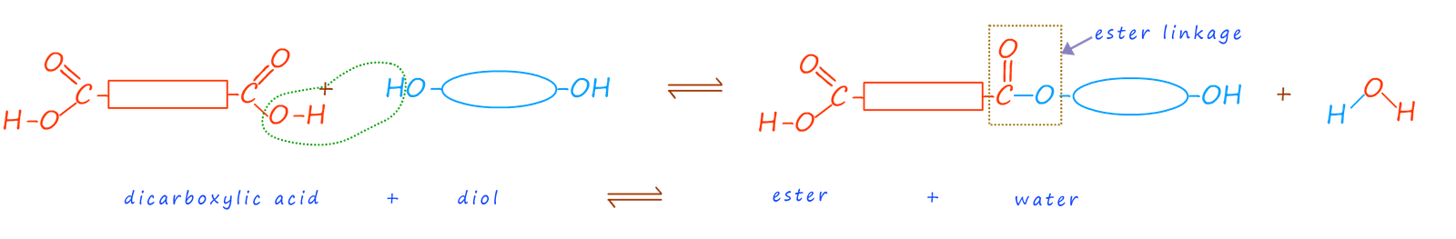 polyester formation using a diol and a diacid